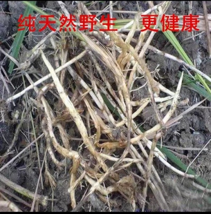 野生现挖带皮去皮新鲜白茅根茅草根甜草根丝茅根白毛根包邮正品