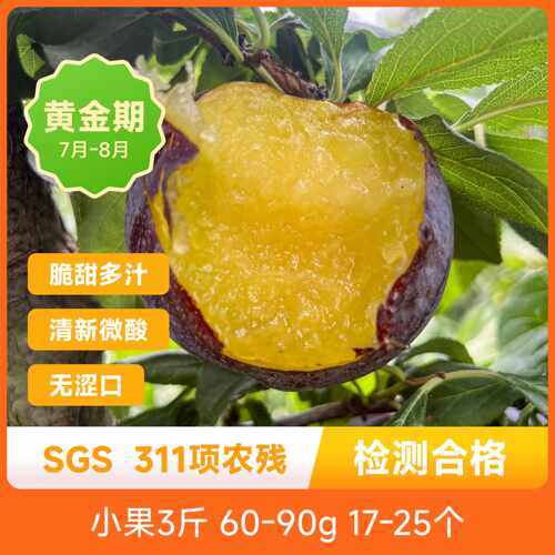 黑琥珀李子色泽浓郁果实饱满脆甜多汁新鲜应季现摘现发产地直发