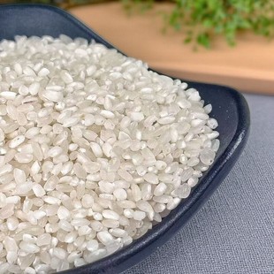 安徽新米早籼米早谷米早稻陈老糙肠粉炒饭杂交晚籼米生吃新鲜试用