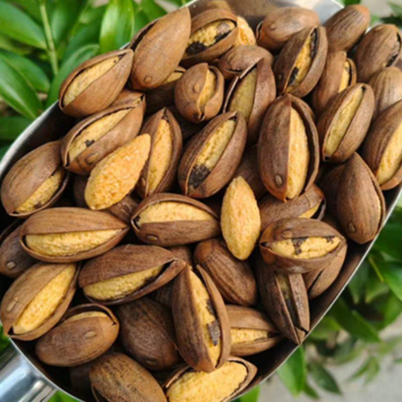 仙薯香榧子枫桥香榧厂家直销坚果