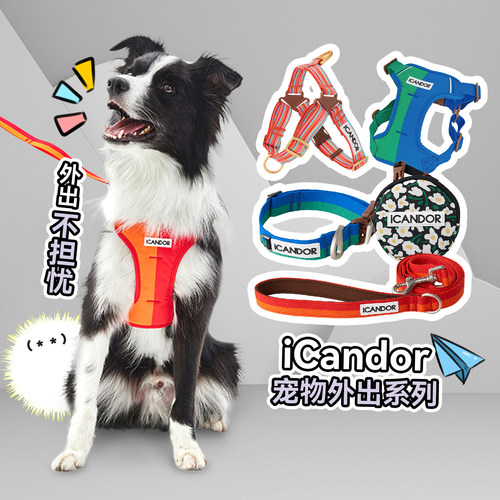 白猪商店iCandor狗项圈胸背牵引