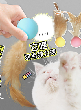 白猪商店 它哩TALI 硅胶羽毛弹力球逗猫棒猫玩具自嗨解闷磨牙耐咬