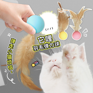 白猪商店 硅胶羽毛弹力球逗猫棒猫玩具自嗨解闷磨牙耐咬 它哩TALI