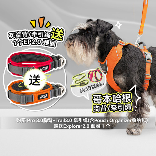 白猪商店哥本哈根胸背牵引外出