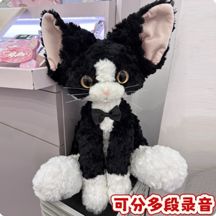 可分段录音德文卷毛猫玩偶猫咪生日礼物送男女朋友会表白说话公仔