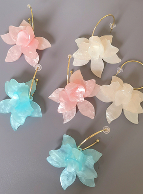 DD百搭森系仙女风梦幻糖果色马卡龙夸张亚克力树脂花朵耳环