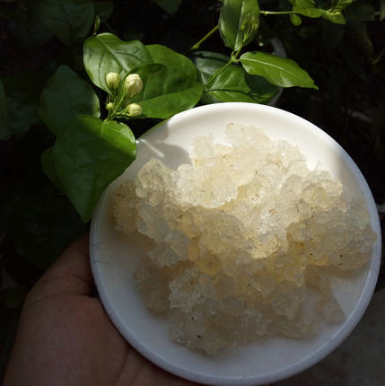 天然无添加野生雪燕特级500g拉丝包邮植物燕窝买就送桃胶