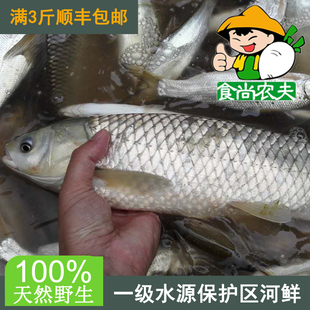 食尚农夫万绿湖纯天然草鱼一条 原生态水库鲜鱼河鲜 满3斤包邮