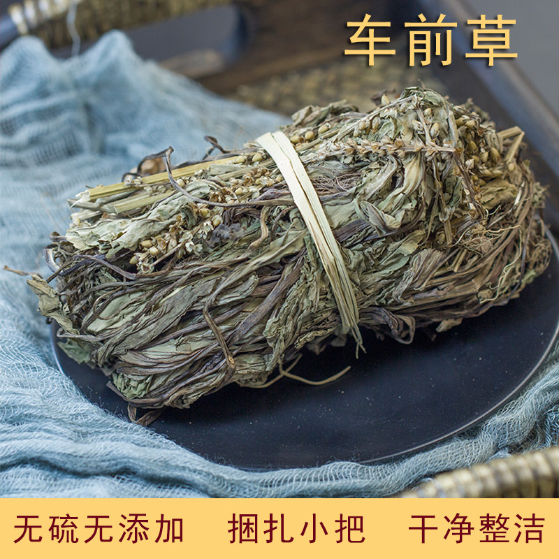 车前草野生新鲜干货正品中药材整棵全草车前草车轮菜煮泡水喝500g