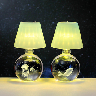 创意星空水母海豚水晶球小夜灯摆件卧室床头装饰品生日礼物送女生