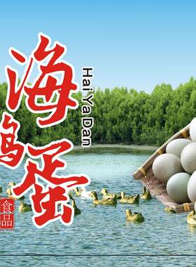 遂溪海鸭蛋湛江特产正宗红树林海鸭蛋海边散养新鲜30枚包邮