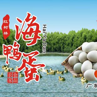 遂溪海鸭蛋湛江特产正宗红树林海鸭蛋海边散养新鲜30枚包邮
