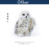 美国Douglas仿真动物鸟类正版 雪鸮公仔玩偶娃娃毛绒玩具生日礼物