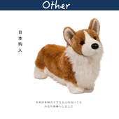 美国Douglas正版 仿真动物柯基犬公仔狗狗玩偶毛绒玩具生日礼物