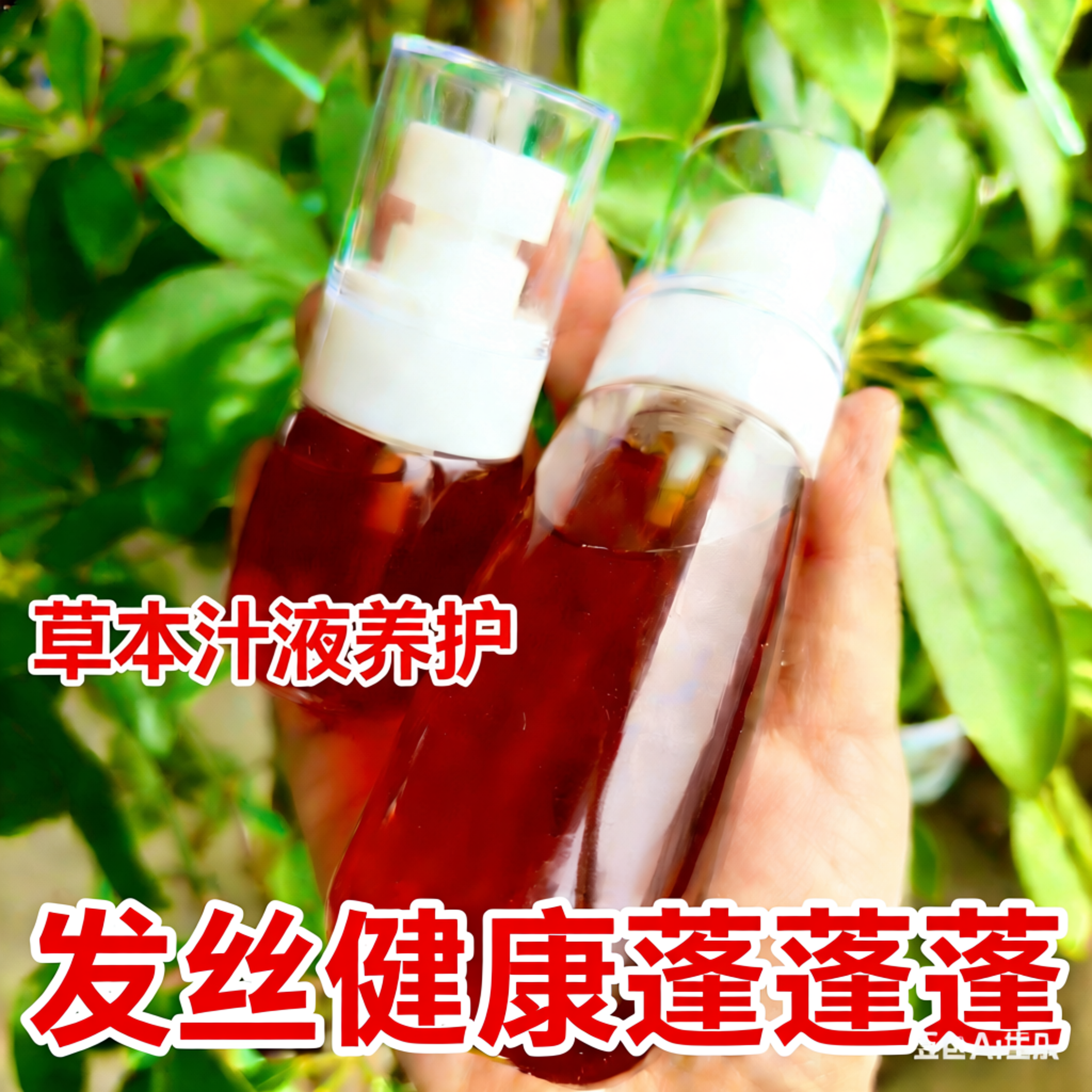 植物草本头皮毛囊护理液头疗汤