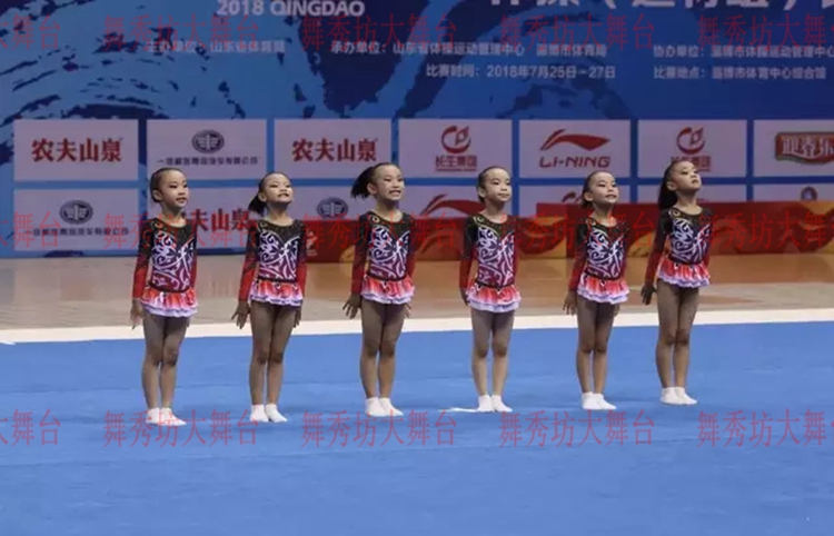 印花款少儿艺术体操 健身操比赛服 团体体操演出舞蹈服 花球操服