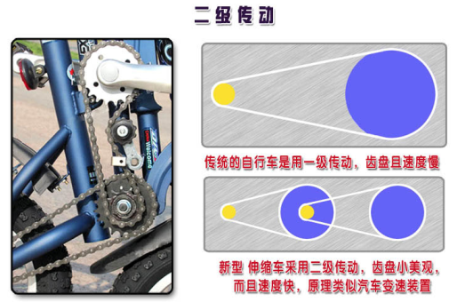 Pignon de vélo FITQ - Ref 2363771 Image 1