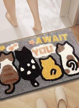 Door Mat Outdoor indoor Bathroom Foot Mats Doormat Area Rug