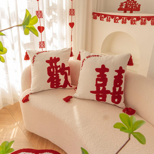 压床抱枕新房装饰接亲小红书推荐