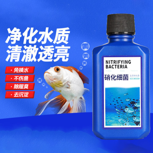 养鱼硝化细菌活菌净水分解粪便