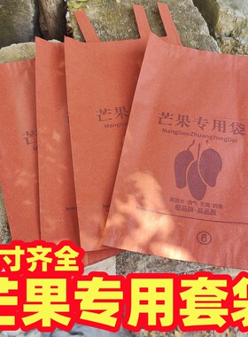 双层包芒果专用套袋金煌芒防虫鸟水果贵妃芒玉文台湾芒贵妃台芽芒