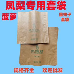 全木浆防水凤梨专用套袋菠萝露兜子水果防虫鸟防晒波罗加厚型套袋