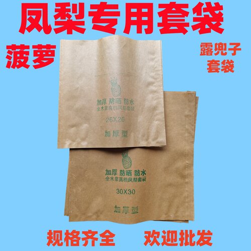 全木浆凤梨菠萝露兜子专用套袋