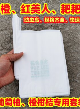 防虫套袋不知火春见丑橘柑橙枇杷