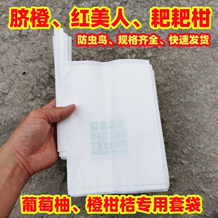 防虫套袋柑橙柑桔子枇杷不知火春见丑橘爱媛脐橙石榴红美人茂谷柑