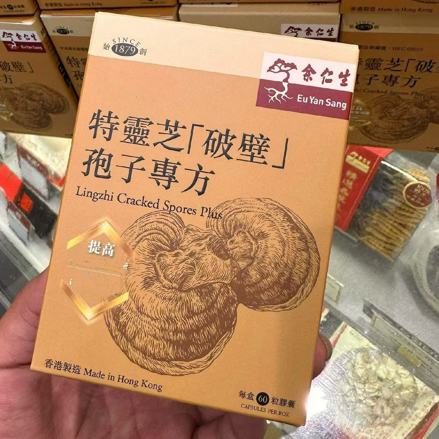 香港余仁生特灵芝破壁孢子粉胶囊Cs4虫草菌丝体胶囊专柜正品代购