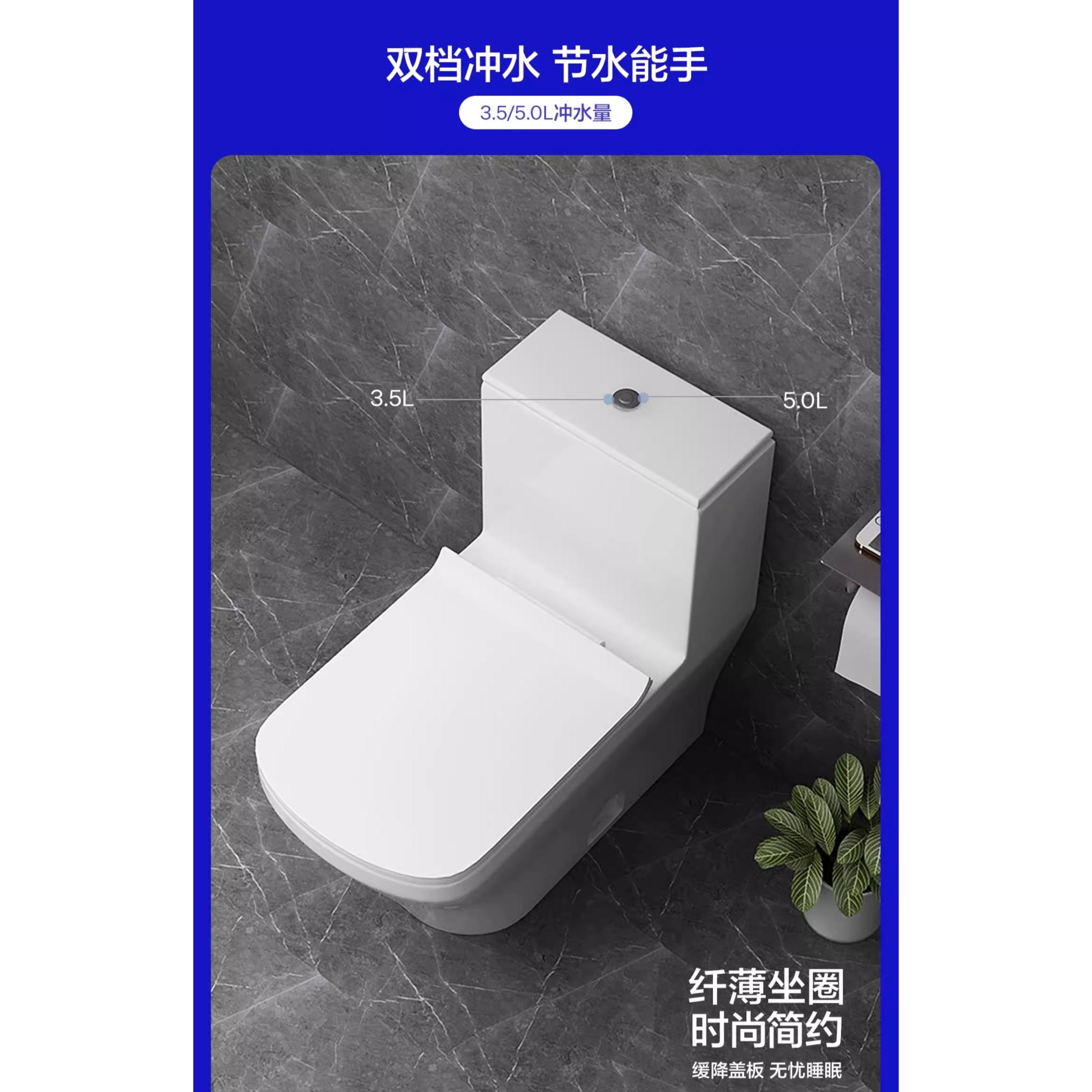 Duravit toilet 215701 one-piece floor toilet 305 pit distance square toilet