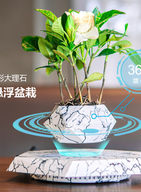 轻奢家居摆件北欧风花盆创意桌面