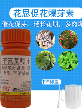 多肉多头细胞分裂素爆芽月季开花植物促进花芽分化多开花营养液