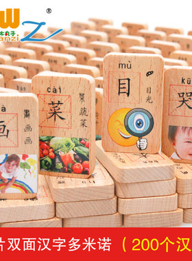 木丸子二代100片双面汉字积木