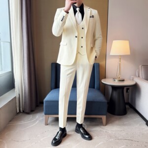 男士商务休闲西装韩版修身纯色暗纹西服三件套2512-P275图片