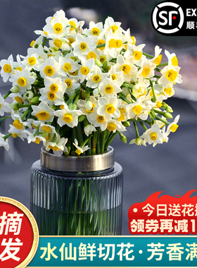 【现摘鲜切花】漳州水仙花种球花枝带花苞冬季水培室内插花年宵花