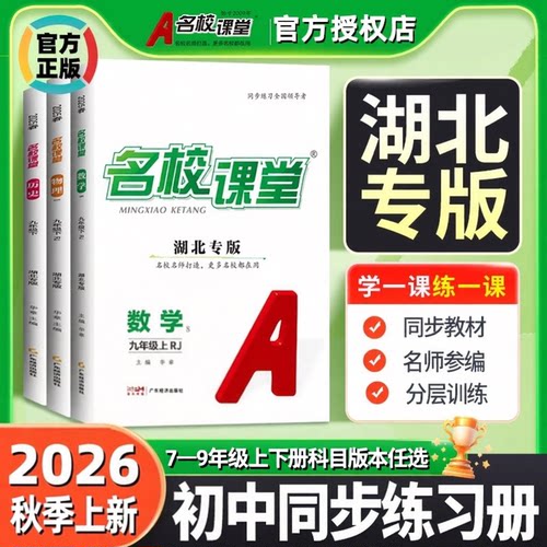 湖北专版初中练习名校课堂