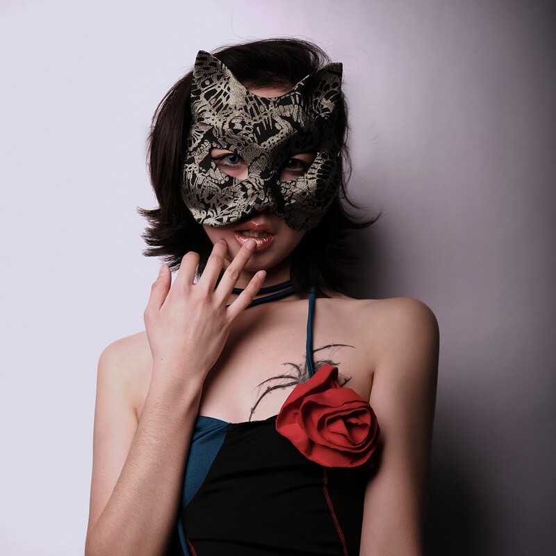 万圣节面具半脸猫女郎cosplay化妆舞会派对性感眼罩面纱遮脸道具