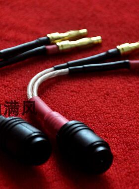 老款b＆o德律风根Telefunken音频