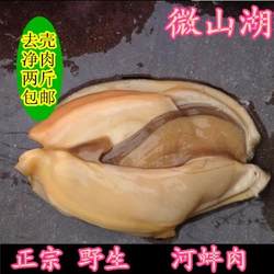 河蚌肉新鲜 2斤 微山湖淡水大河蚌活体蚌生态河蚌肉去壳净肉