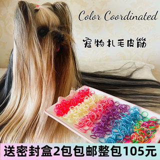 2包包邮 美国color coordinated宠物扎毛皮筋贵宾马尔济斯约克夏