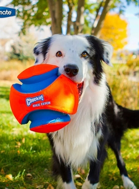 美国petmate中大型犬chuckit户外互动巡回玩具狗狗足球夜光橄榄球