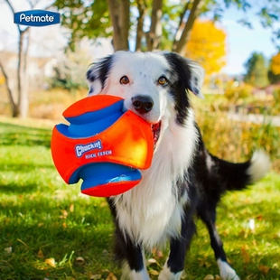 美国petmate中大型犬chuckit户外互动巡回玩具狗狗足球夜光橄榄球