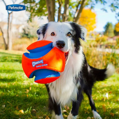 美国petmate中大型犬户外夜光