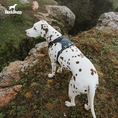 blackdoggy大力马狗狗胸背轻薄透气速干胸背宠物外出遛狗胸背带