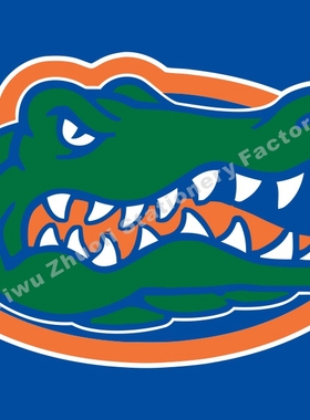 Florida Gators 佛罗里达大学 短吻鳄队 NCAA旗帜 包邮定制