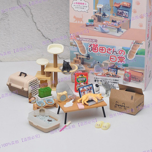 猫田桑 我和猫咪的日常 8款盒蛋仿真场景摆件手办玩具模型潮玩
