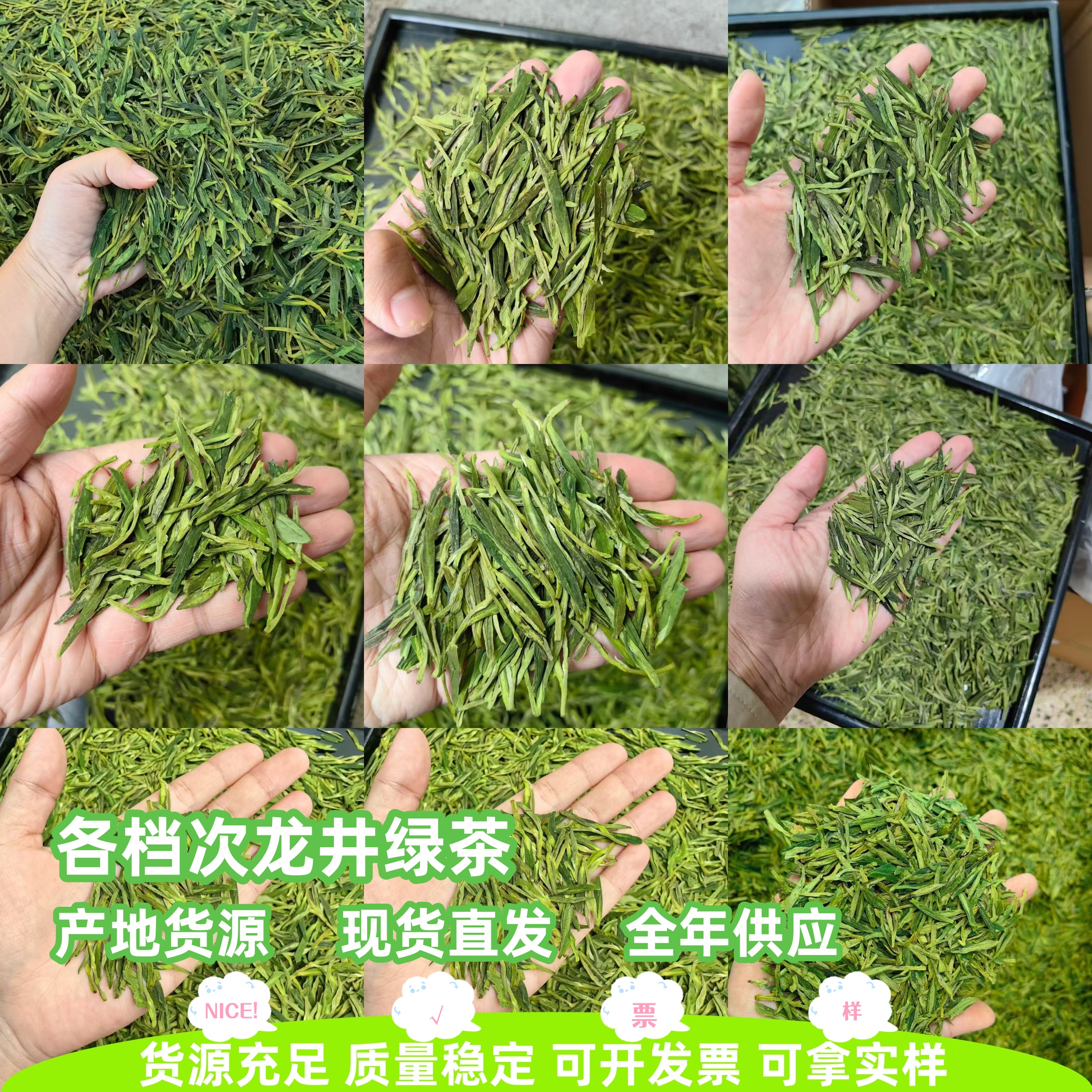 浙江龙井绿茶松阳2025新茶明前春茶浓香礼盒散装龙井工艺茶叶批发