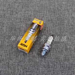 NGK铂金火花塞CR7HGP/100型/天剑125/踏板125摩托车火花塞10*12mm
