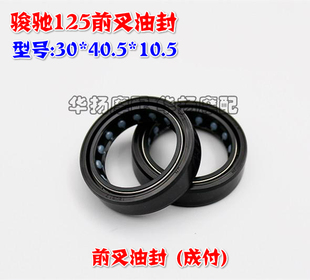 适用摩托车铃木王GS125骏威GSX125骏驰GT125前减震油封/前叉油封